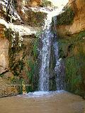 TAMERZA 5